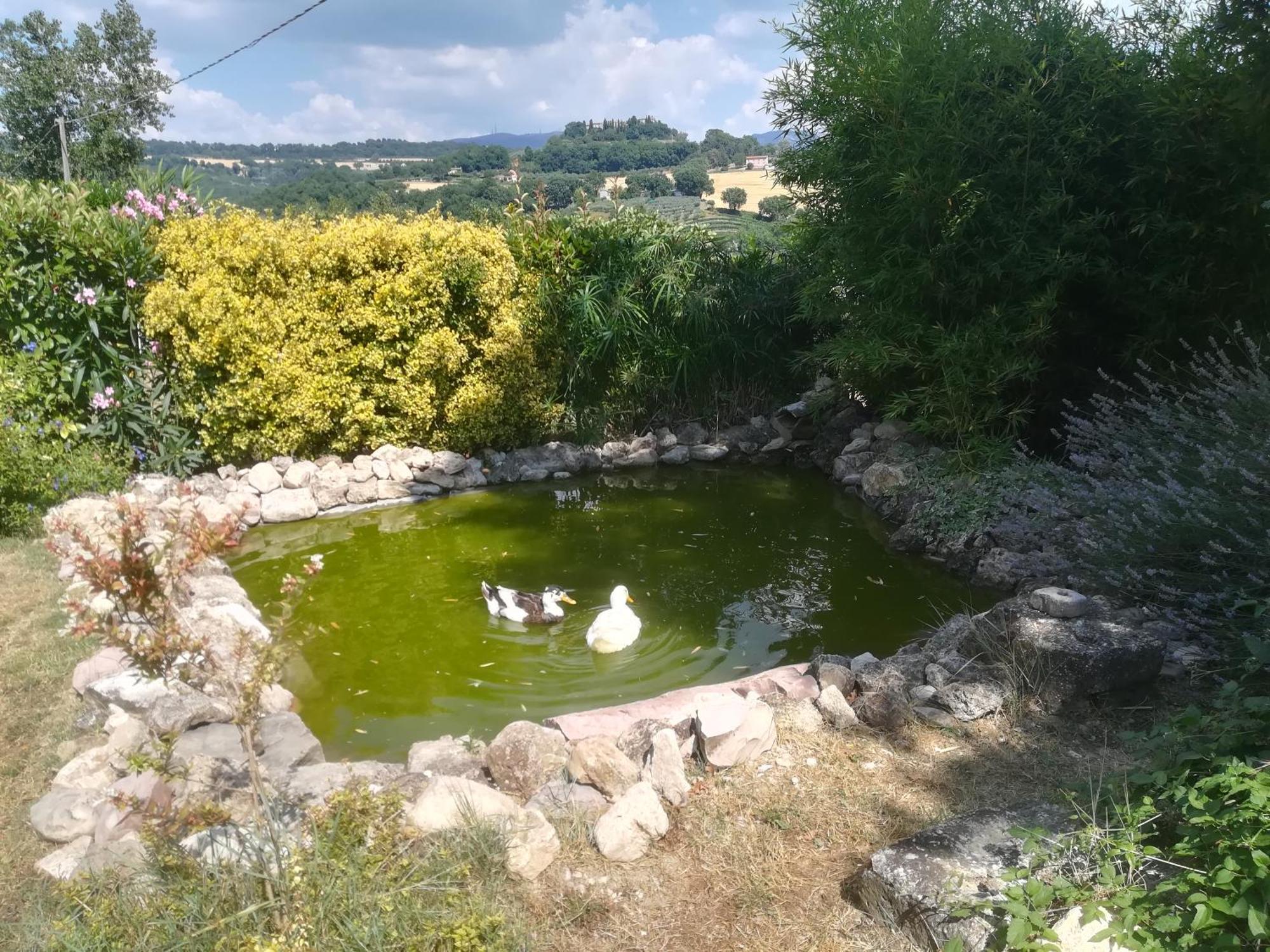 La Piccola Fattoria Villa โตดี ภายนอก รูปภาพ