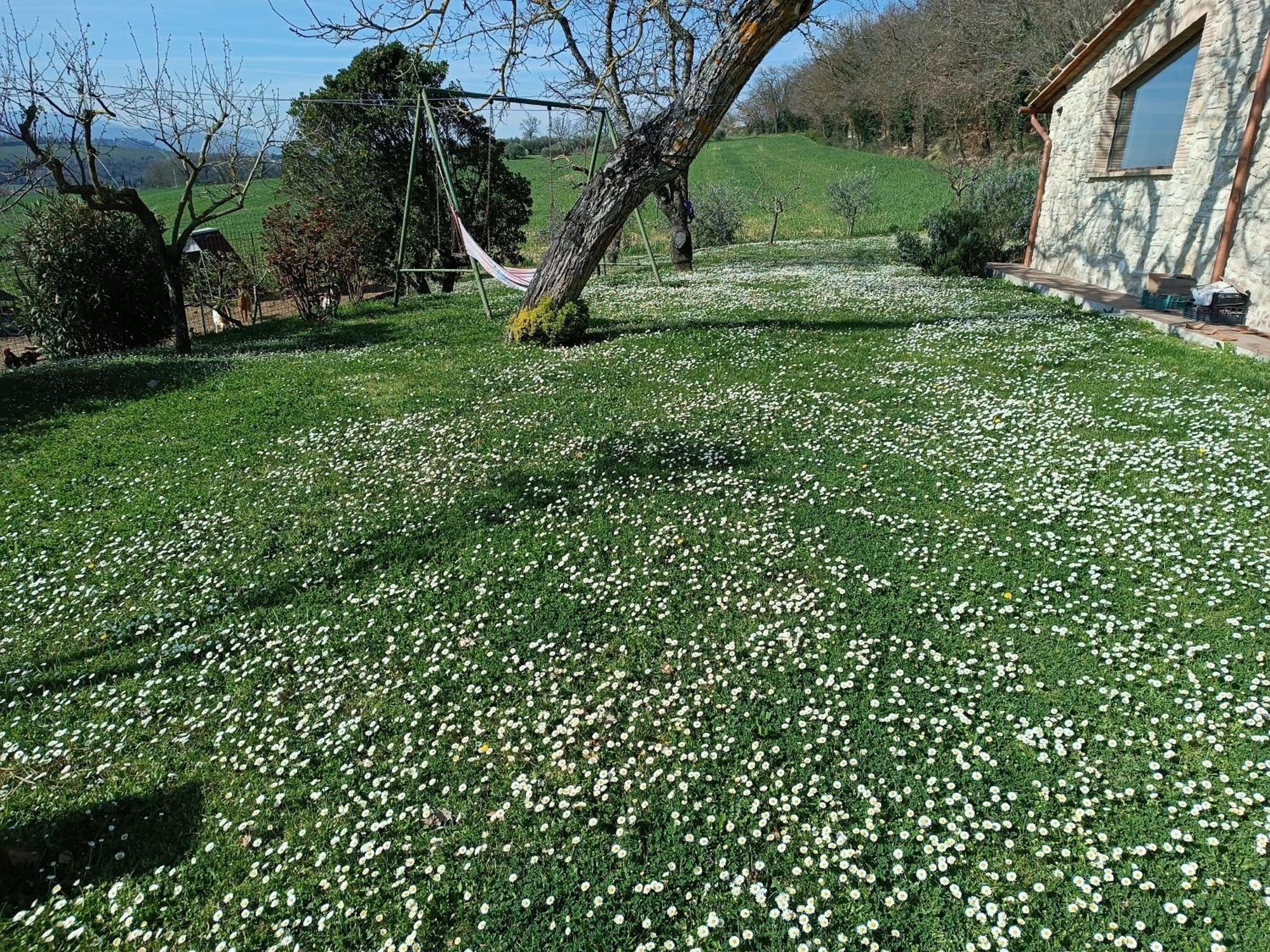 La Piccola Fattoria Villa โตดี ภายนอก รูปภาพ
